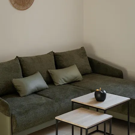 Apartment Athenian Stylish Athens